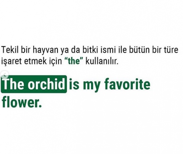 İngilizcede “The” Kullanımı