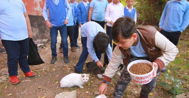 Edirne Uzunköprü'de bir ilkokul öğrencisi sosyal sorumluluk ödevi kapsamında para toplayarak sokak hayvanlarına mama alıp onları elleriyle besledi