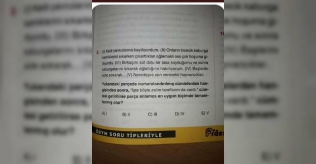 Bu Nasıl Sınav Sorusu?