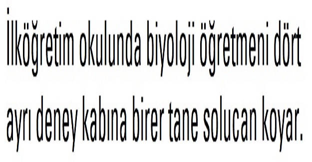 Okulda biyoloji öğretmeni dört ayrı deney kabına birer tane solucan koyar.