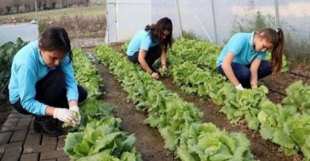Bu Okulun Öğrencileri Ve Öğretmenleri Örnek Alınacak Bir Olaya İmza Atıyor