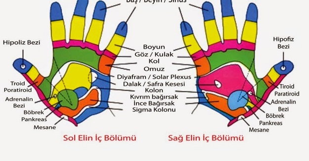 Elinizde ki Bu Noktalar Hangi Hastalığa Sahip Olduğunuzu İşaret Ediyor