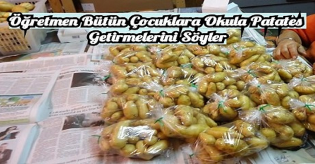 Öğretmen Bütün Çocuklara Okula Patates Getirmelerini Söyler: Bu Garip İsteğin Arkasındaki Gerçek Sizi Çok Şaşırtacak