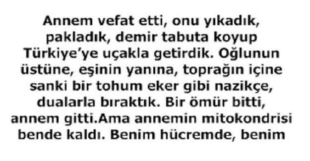 ANNELER ÖLMEZ, YAVRUSUNU HİÇBİR ZAMAN YALNIZ BIRAKMAZ İŞTE BİLİMSEL KANITI