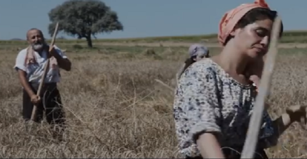 Günün Hikayesi