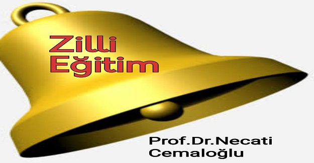 ZİLLİ EĞİTİM