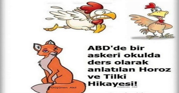 ABD’de bir askeri okulda ders olarak anlatılan Horoz ve Tilki Hikayesi!