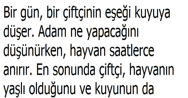 Bir Gün Bir Çiftçinin Eşeği Kuyuya Düşer