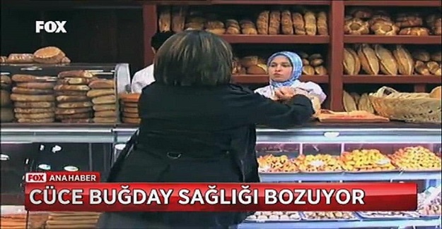 ROCKFELLER VAKFI ,DR. NORMAN VE CÜCE BUĞDAY