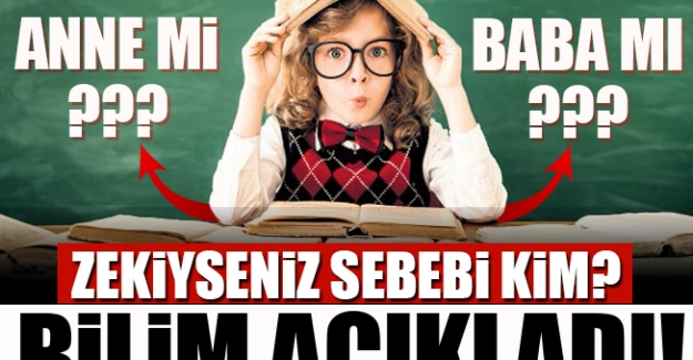 Zekiyseniz Sebebi Anneniz! Bilim Zeka Geninin Anneden Geçtiğini Açıkladı