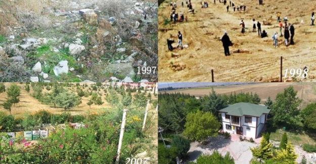 Amasya'da bir grup emekli, 22 yılda çöplüğü küçük bir ormana çevirdi