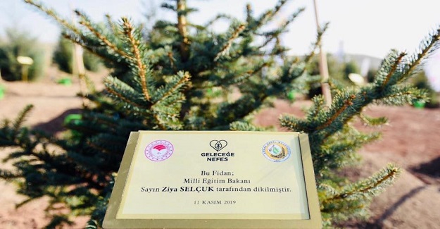 Bugün 81 ilde 11 milyon fidan dikildi.
