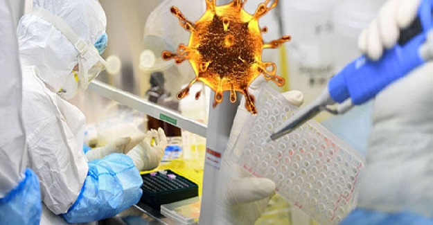 Son Dakika: Corona Virüsüyle İlgili Umutlandıran Yeni Gelişme