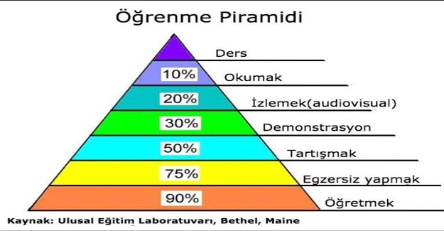 Öğrenme Piramidi: Neyi Ne Kadar Yaparsak Öğrenmiş Oluruz?