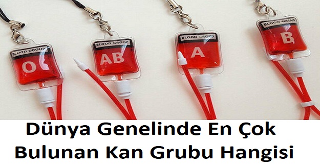 Dünya Genelinde En Çok Bulunan Kan Grubu Hangisi? En Az Görülen Kan Grubu