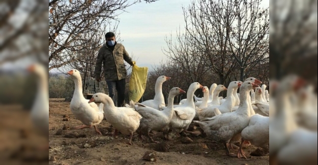 Arkadaşının tavsiyesine uydu şimdi paraya para demiyor: Yılda 150 bin TL kazanıyor