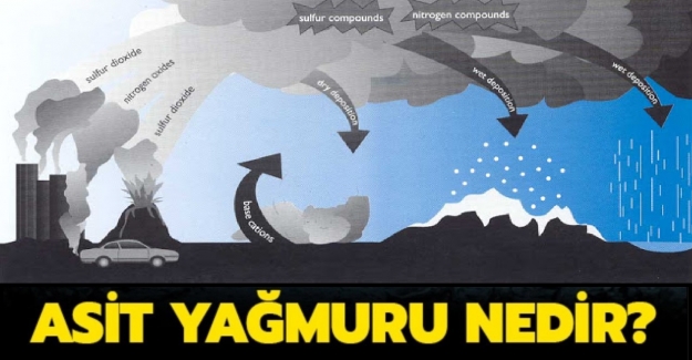 Asit Yağmuru Nedir? Asit Yağmurları Zararları Ve Sonuçları