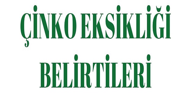 Çinko Eksikliği Belirtileri Nelerdir? Çinko Hangi Besinlerde Fazlasıyla Bulunur?