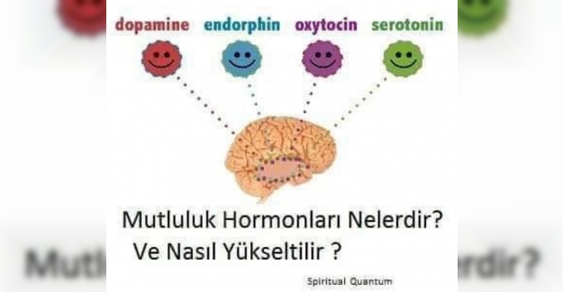 Mutluluk hormonları nelerdir? Nasıl yükseltilir? Eksikliğinde nasıl hissederiz?