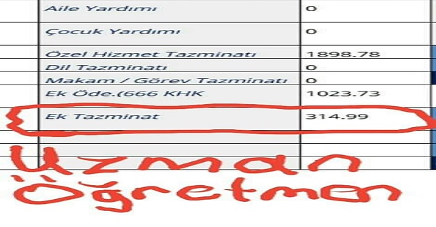 2005 Yılından Bu Yana Öğretmenlerin Kaybı