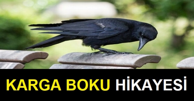 Karga Boku Hikayesi