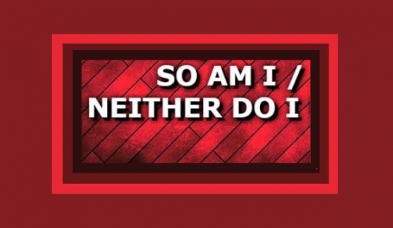 So do I - Neither do I Konu Anlatımı