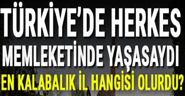 Türkiye'de Herkes Kendi Memleketinde Yaşasaydı En Kalabalık İl Hangisi Olurdu? İşte Cevabı