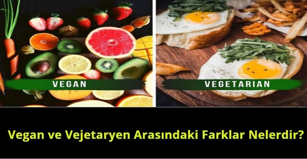 Vegan ve Vejetaryen Arasındaki Farklar Nelerdir?