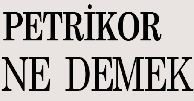 PETRİKOR NEDİR? PETRİKOR İSMİNİN ANLAMI VE KÖKENİ NEDİR?