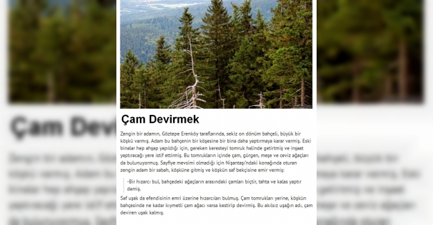 Çam Devirmek Deyiminin Anlamı ve Hikayesi