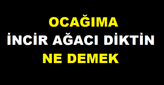 OCAĞIMA İNCİR AĞACI DİKTİN SÖZÜ NEREDEN GELİYOR?