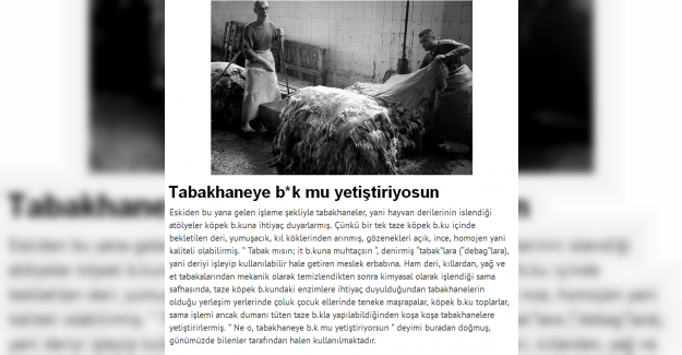Tabakhaneye Bok mu Yetiştiriyorsun Deyiminin Anlamı ve Hikayesi