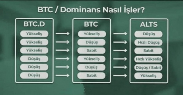 Bitcoin Dominans Nasıl İşler? Bitcoin Dominance Ne Demektir