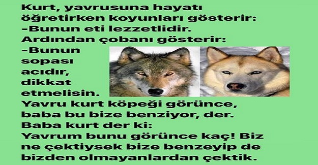 Çocuk eğitimine ilişkin güzel bir örnek.