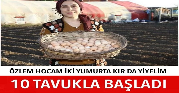 Özlem Öğretmen Tavuk Çiftliği Kurdu