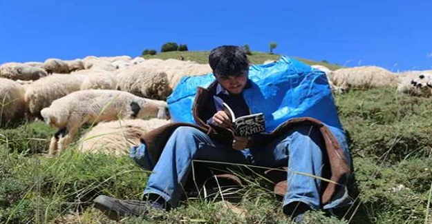 Çobanlık Yaparak TEOG'da Türkiye Birincisi Oldu, Şimdide Tilburg Üniversitesi İçin Hazırlanıyor