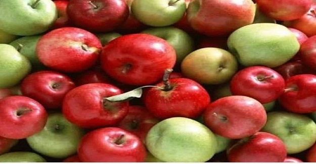 Öğretmen, 2 öğrencisine birer sepet verir ve bahçeye elma toplamaya gönderir.