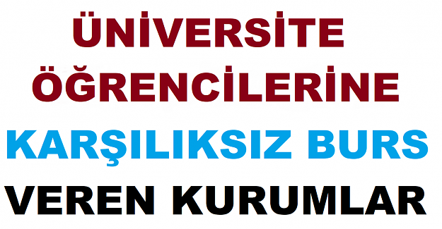 Geri Ödemesiz Burs Başvurusu ve Şartlar 2022