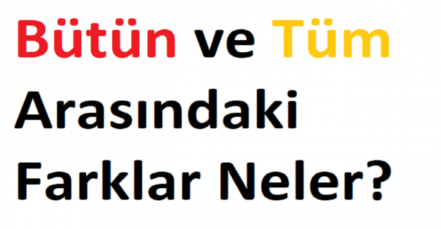 Bütün ve Tüm Arasındaki Farklar Neler?