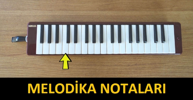 MELODİKA NOTALARI