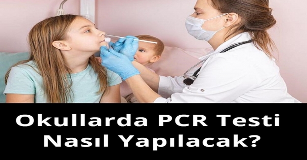 Öğrencilere PCR Testi Nasıl Yapılacak?