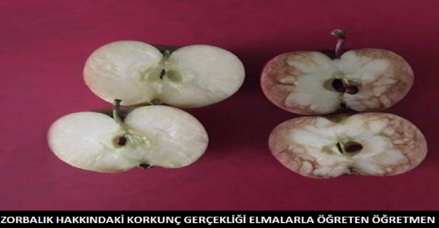 ZORBALIK HAKKINDAKİ KORKUNÇ GERÇEKLİĞİ ELMALARLA ÖĞRETEN ÖĞRETMEN 