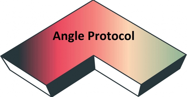 Angle Protocol (ANGLE) Token Nedir? Angle Protocol (ANGLE) Coin Geleceği