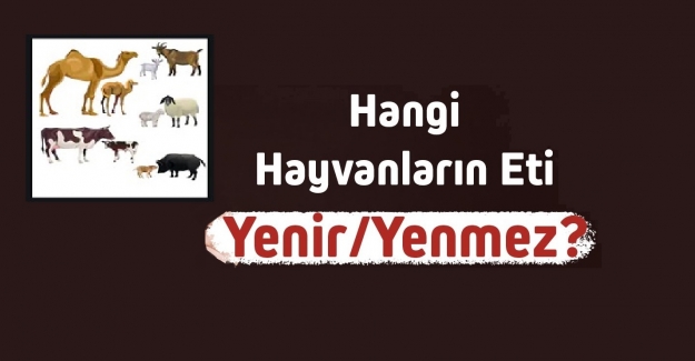 ETİ YENEN VE ETİ YENMESİ HARAM OLAN HAYVANLAR HANGİLERİDİR?