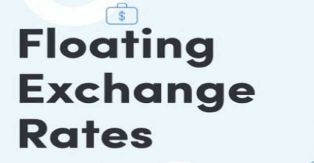 Floating Exchange Rate Ne Demek?