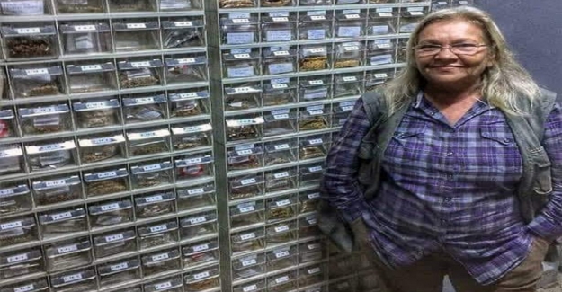 Nardane Öğretmen Tohum Bankasında 1200 Çeşit Tohumu, Muhafaza Ediyor