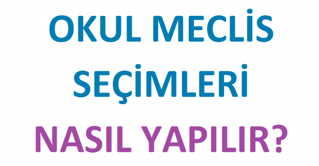 Okul Meclis Seçimleri Nasıl Yapılır?