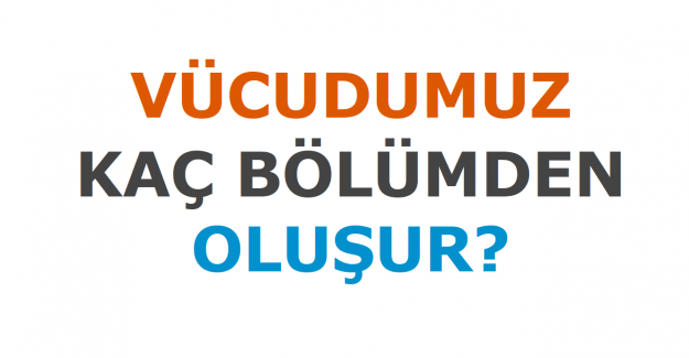 Vücudumuz Kaç Bölümden Oluşur?