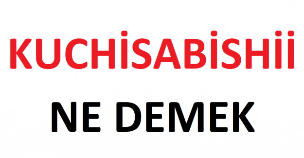 Kuchisabishii Ne Demek