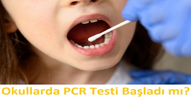 Okullarda PCR Testi Başladı mı?